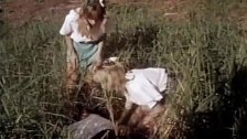 Порно видео - Классическое порно в лесу с двумя дамами